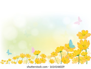 Butterfly in the morning light with fresh yellow cosmos or  sulfur cosmos flowers background, floral background in spring season concept, vector illustration.