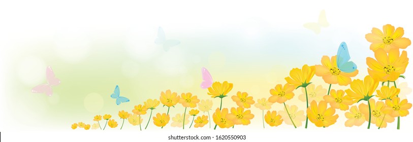 Butterfly in the morning light with fresh yellow cosmos or  sulfur cosmos flowers background, floral background concept, Nature header or web banner, vector illustration.