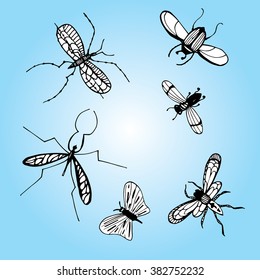 Butterfly. Moth. Beetles. Mosquito. Insects. Set. Pests. Line art. Tattoo. Black and white. Dudling. Zentangl. Stylized. Decorative. Drawing by hand. Isolated. Background.
