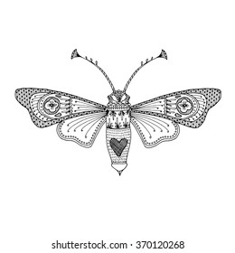 Butterfly moth black hand-drawn outline. Delicate adult coloring book design to relieve stress. Vector EPS 10