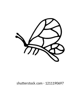 butterfly moth insect icon drawing isolated object on white background.