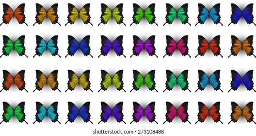 butterfly moth insect vector illustration