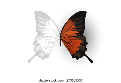 butterfly moth insect vector illustration