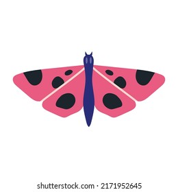 Butterfly, moth, insect with wings, cartoon style. Trendy modern vector illustration isolated on white background, hand drawn, flat design.