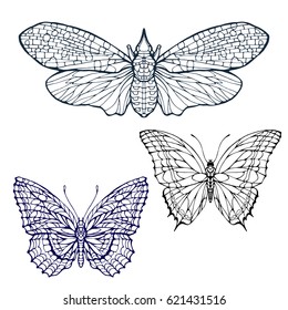 Butterfly and moth set outline line art coloring book page stock vector illustration