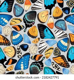 Butterfly and moth wings vector seamless pattern
