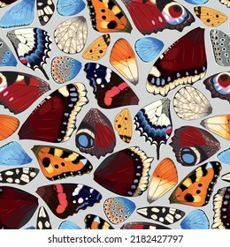 Butterfly and moth wings vector seamless pattern