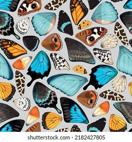 Butterfly and moth wings vector seamless pattern