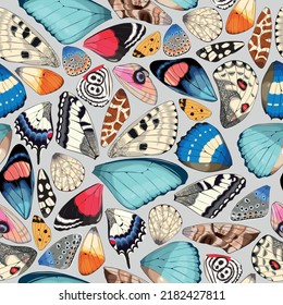 Butterfly and moth wings vector seamless pattern