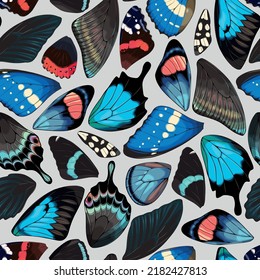 Butterfly and moth wings vector seamless pattern