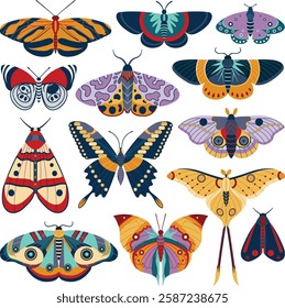 butterfly and moths colorful vector illustration 