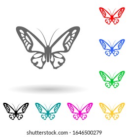 butterfly multi color style icon. Simple glyph, flat vector of insect icons for ui and ux, website or mobile application
