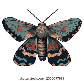 Butterfly with multi colored wings over white