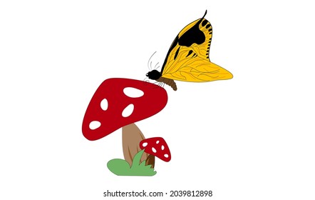 Butterfly And mushroom . Vector Kid drawing with white background 