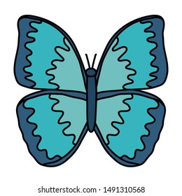 Butterfly nature desing vector illustration