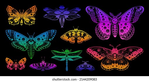 Butterfly neon vector design on black background. Abstract spring boho moth pattern. Sparkle moth rainbow art. Isolated light sticker illustration. Summer butterfly set. Bright effect cartoon animal