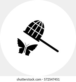 Butterfly and butterfly net