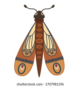 Butterfly Night Butterfly. Insects. Simple vector illustration.