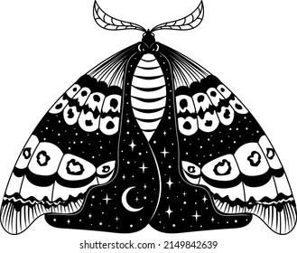 Butterfly. Night moth. Butterfly silhouette. Vector illustration.