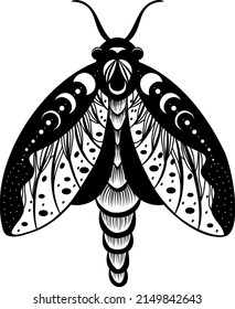 Butterfly. Night moth. Butterfly silhouette. Vector illustration.