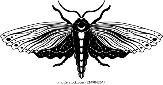 Butterfly. Night moth. Butterfly silhouette. Vector illustration.