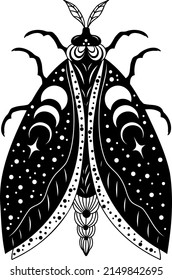 Butterfly. Night moth. Butterfly silhouette. Vector illustration.