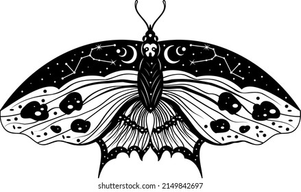 Butterfly. Night moth. Butterfly silhouette. Vector illustration.