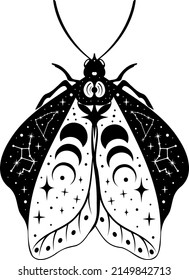 Butterfly. Night moth. Butterfly silhouette. Vector illustration.