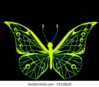  butterfly on a black background.Vector.