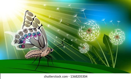 Butterfly on a blade of grass under the sun, Dandelion with flying fluff. Boke, Realistic horizontal vector illustration
