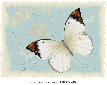 Butterfly on a blue retro styled background. All objects are isolated and separated to layers