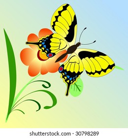 butterfly on a branch