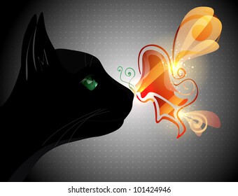 Butterfly on the cat nose