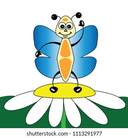 Butterfly on flower