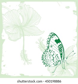 Butterfly on flower. Beautiful card with hibiscus and frangipani flower