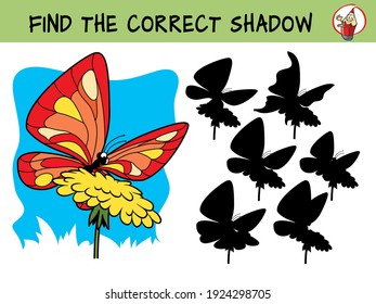 Butterfly flower  Find the correct shadow  Educational game for children  Cartoon vector illustration