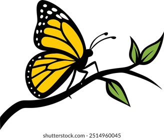 butterfly on flower A butterfly with a butterfly on the front and the word butterfly on the bottom	