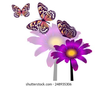 Butterfly on flower. Vector
