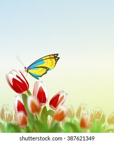 Butterfly on flower. Vector Illustration
