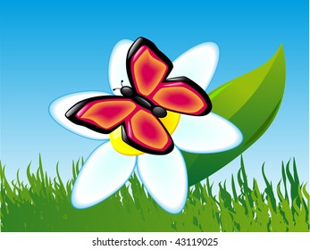 butterfly on a flower vector illustration