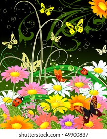 butterfly on flowers