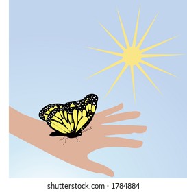 butterfly on hand