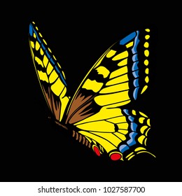 butterfly on a homogeneous background. Vector illustration