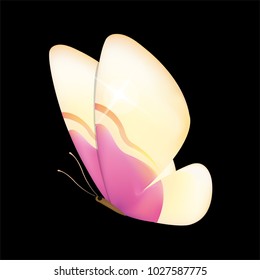 butterfly on a homogeneous background. Vector illustration