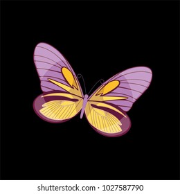 butterfly on a homogeneous background. Vector illustration