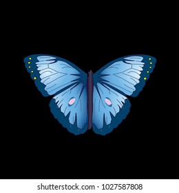 butterfly on a homogeneous background. Vector illustration