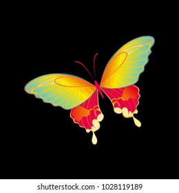 butterfly on a homogeneous background. Vector illustration