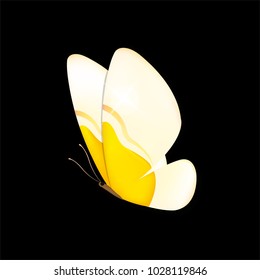 butterfly on a homogeneous background. Vector illustration
