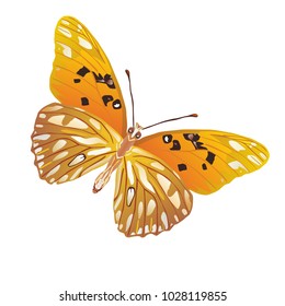 butterfly on a homogeneous background. Vector illustration