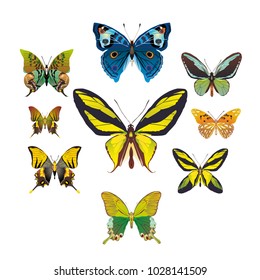 butterfly on a homogeneous background. Vector illustration